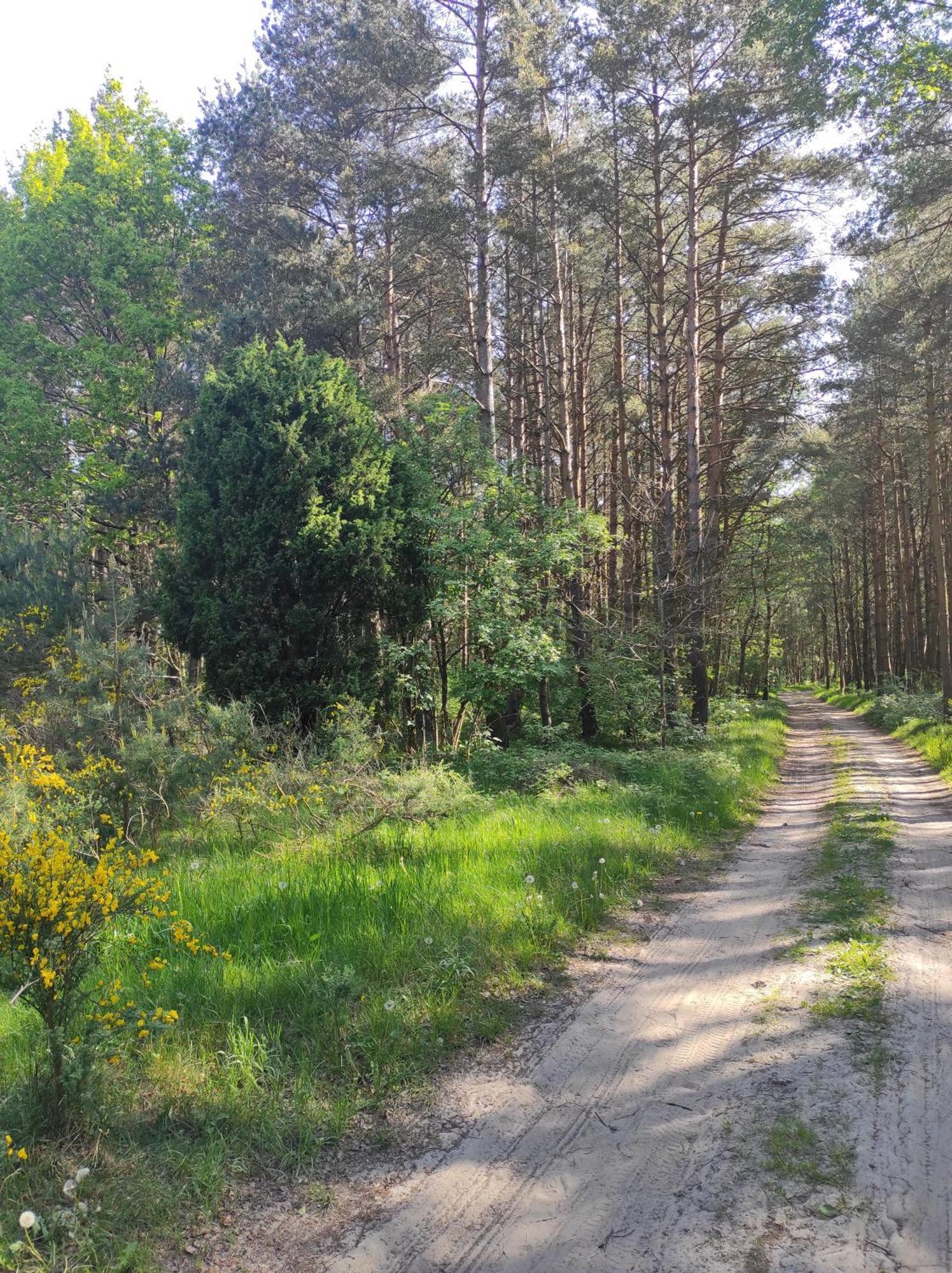 Domki Na Jastrzebiej Mieroszyno 外观 照片